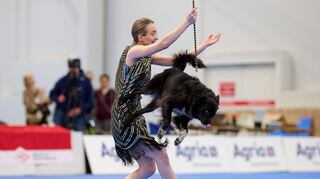 Es kann auch akrobatisch zugehen.