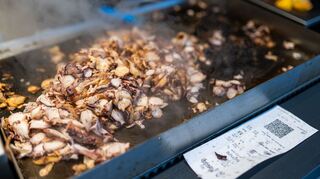 Den Fisch wird aus Mauretanien, Marokko und dem Senegal importiert.