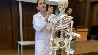 Knochenmann Arthur assistiert Ärztin Katharina Gather bei der Kinder-Uni von Universitätsmedizin und „Mannheimer Morgen“.