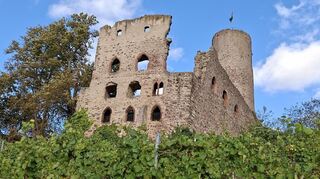 Seit Sommer diesen Jahres steht die Strahlenburg zum Verkauf, aktuell für 2,2 Millionen Euro. Inzwischen gibt es mehrere Interessenten.