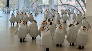 Haben die sich etwa verlaufen? Woher denn, in der Kunsthalle Mannheim sind „The Birds" durchaus am richtigen Platz.