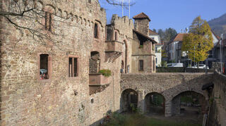 In die „Tiefburg“, das Wahrzeichen von Heidelbergs nördlichstem Stadtteil Handschuhsheim, führt über den Wassergraben eine Brücke.