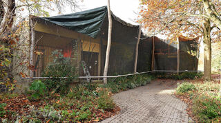 Schon vorsorglich mit Planen abgedeckt: das Eulengehege im Luisenpark. Diese Tiere sind für die Besucher noch zu sehen.