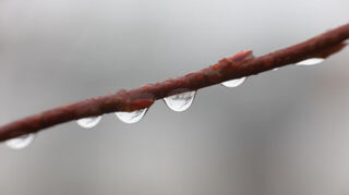 Erst frösteln, dann wieder Sonnenstrahlen: Das Wetter in Baden-Württemberg sorgt in den kommenden Tagen für Überraschungen.