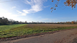Hier auf der Rheinau, auf den Ackerflächen südlich des Wegs „Hallenbuckel“ zwischen B 36 und A 6, soll Mannheims erste Geothermie-Anlage entstehen.