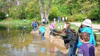 <p>Welche Tiere und Pflanzen gibt es am und im Anglersee? Unter anderem mit dieser Frage beschäftigten sich gestern die Schillerschüler.</p>