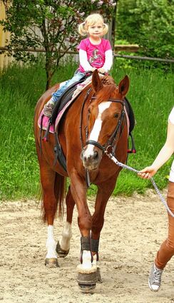 <p>Beim geführten Ponyreiten durften die kleinen Besucher des Reitvereins auch einmal selbst in den Sattel steigen.</p>