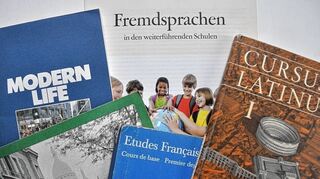 <p>Welches Fach ist das richtige für mein Kind? Lehrer des Kurpfalz-Gymnasiums gaben den Schriesheimer Eltern jetzt wertvolle Hilfestellungen.</p>