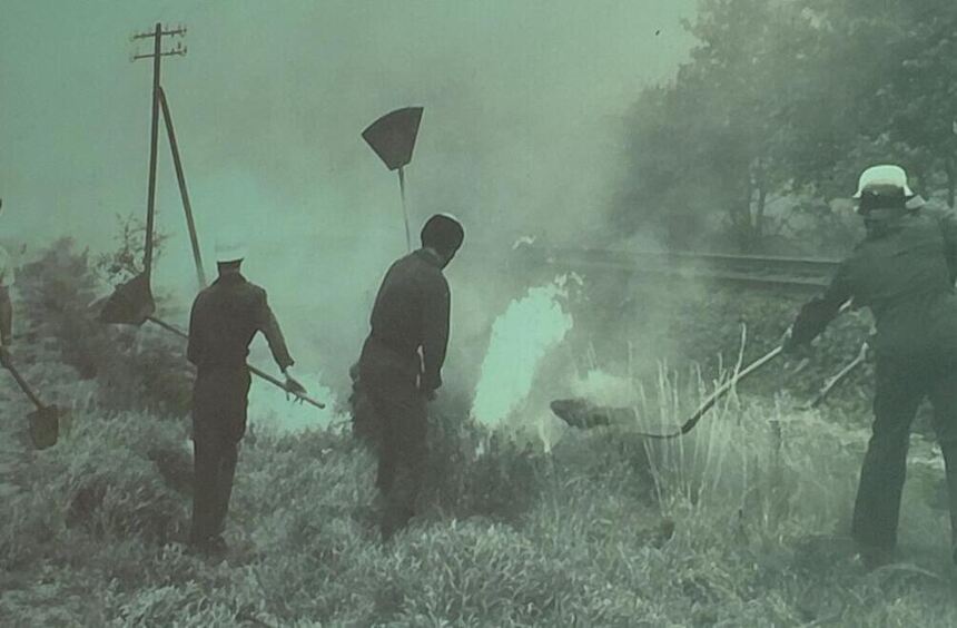 Forest fire 1976 in the Ried: Rescuers recall the catastrophe