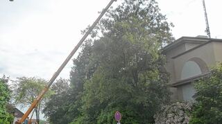 Der Dahlienplatz in der Gartenstadt im Jahr 2012