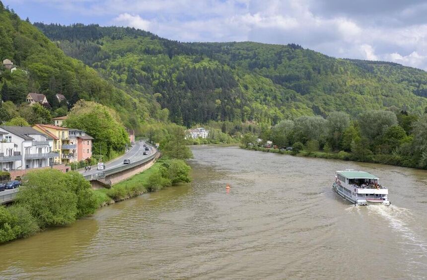 Two-thirds of Heidelberg residents said