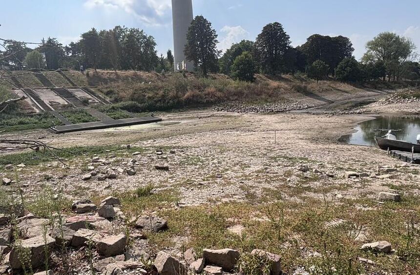 Spectacular pictures: A short walk in the dry Neckar River in Mannheim