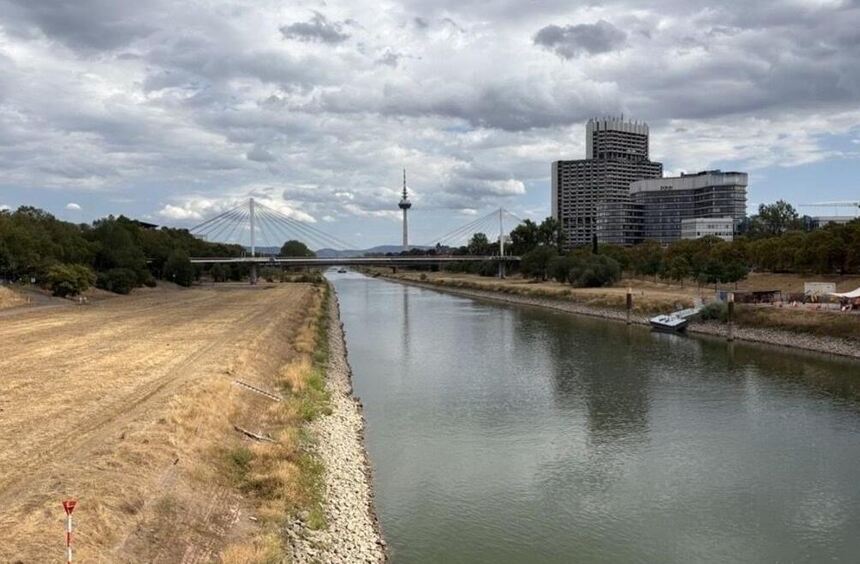 Yellow meadow and little water: the consequences of the drought on the ...